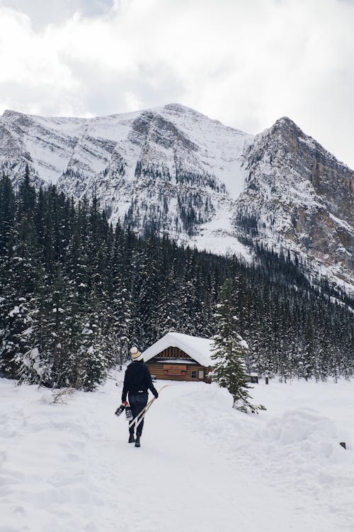 Photos gratuites de arbres, cabane, couvert de neige