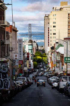 唐人街热闹非凡，充满活力的标志随处可见，远处还能望见海湾大桥的景色