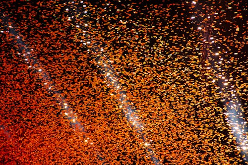 Free Falling Orange Confetties Stock Photo