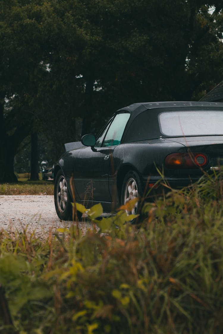 Back View Of A Mazda Miata Mx-5