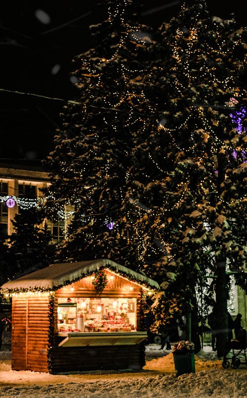 Lights on Trees and Building at Night in Christmas