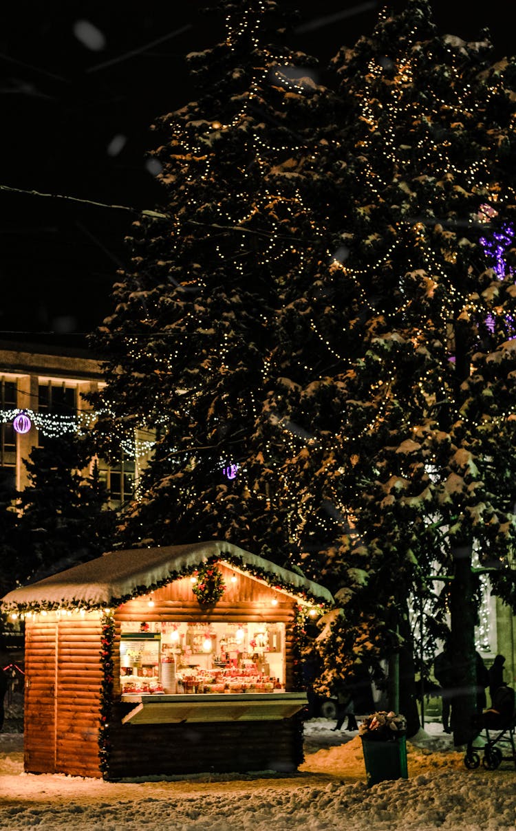 Lights On Trees And Building At Night In Christmas