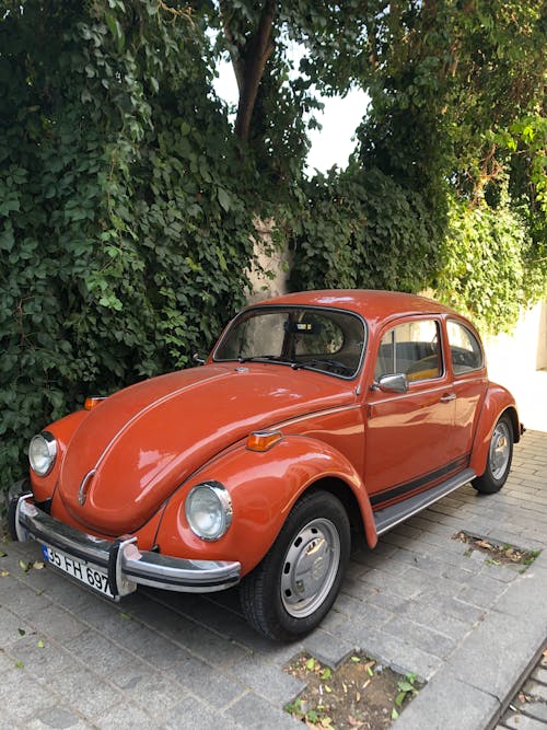 Red Volkswagen Beetle Parked on the Side of the Street