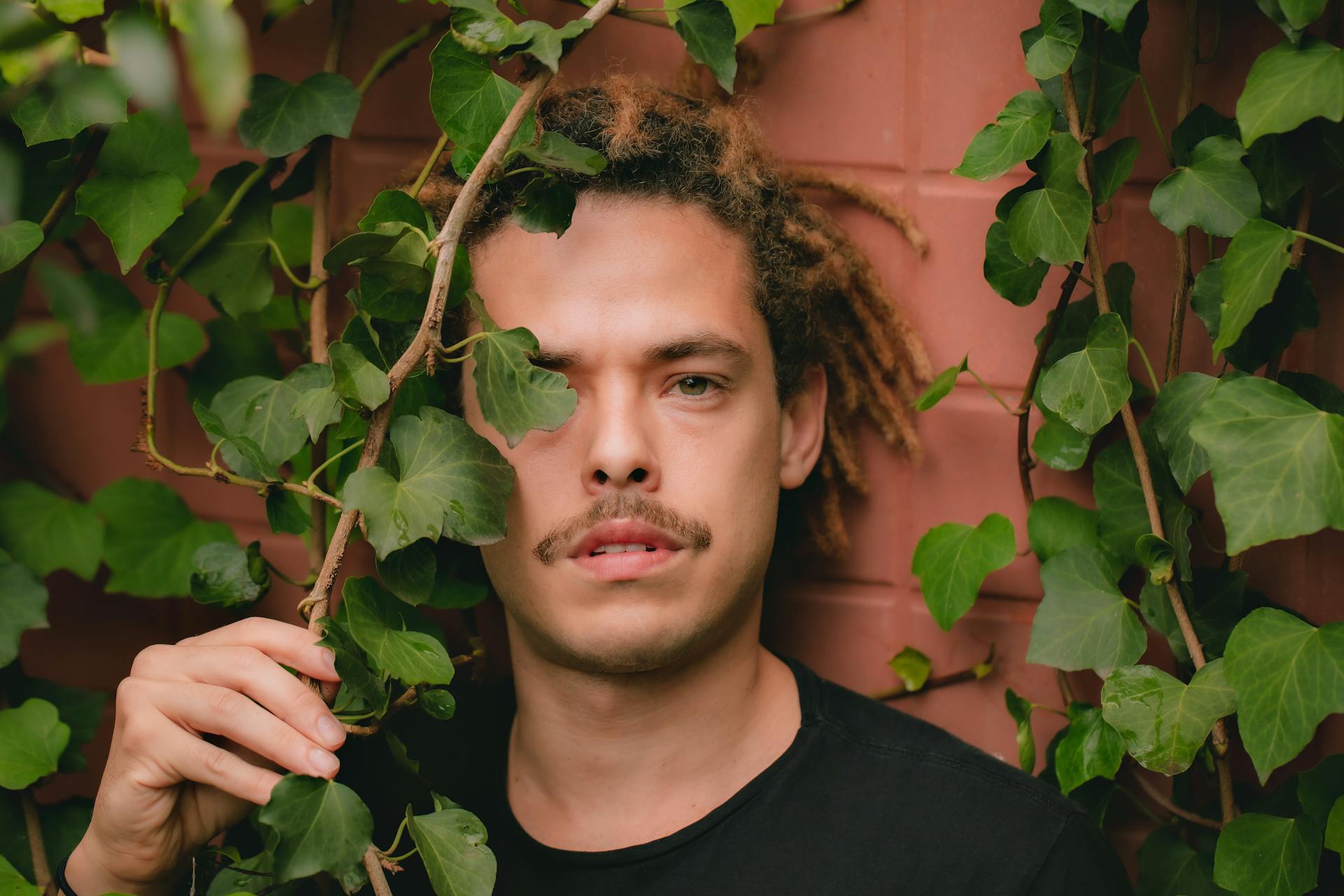 Photo of a Man Touching Ivy Leaves