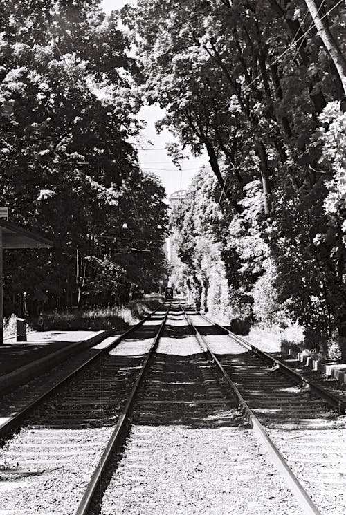 Grayscale Photo of Railways
