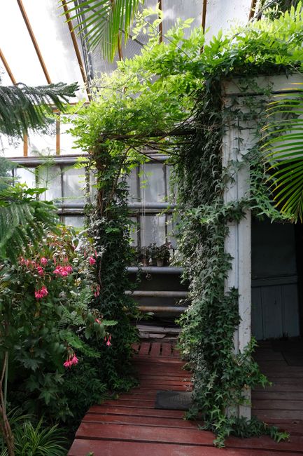 Vibrant greenery and flowers adorn the entrance of a serene greenhouse.
