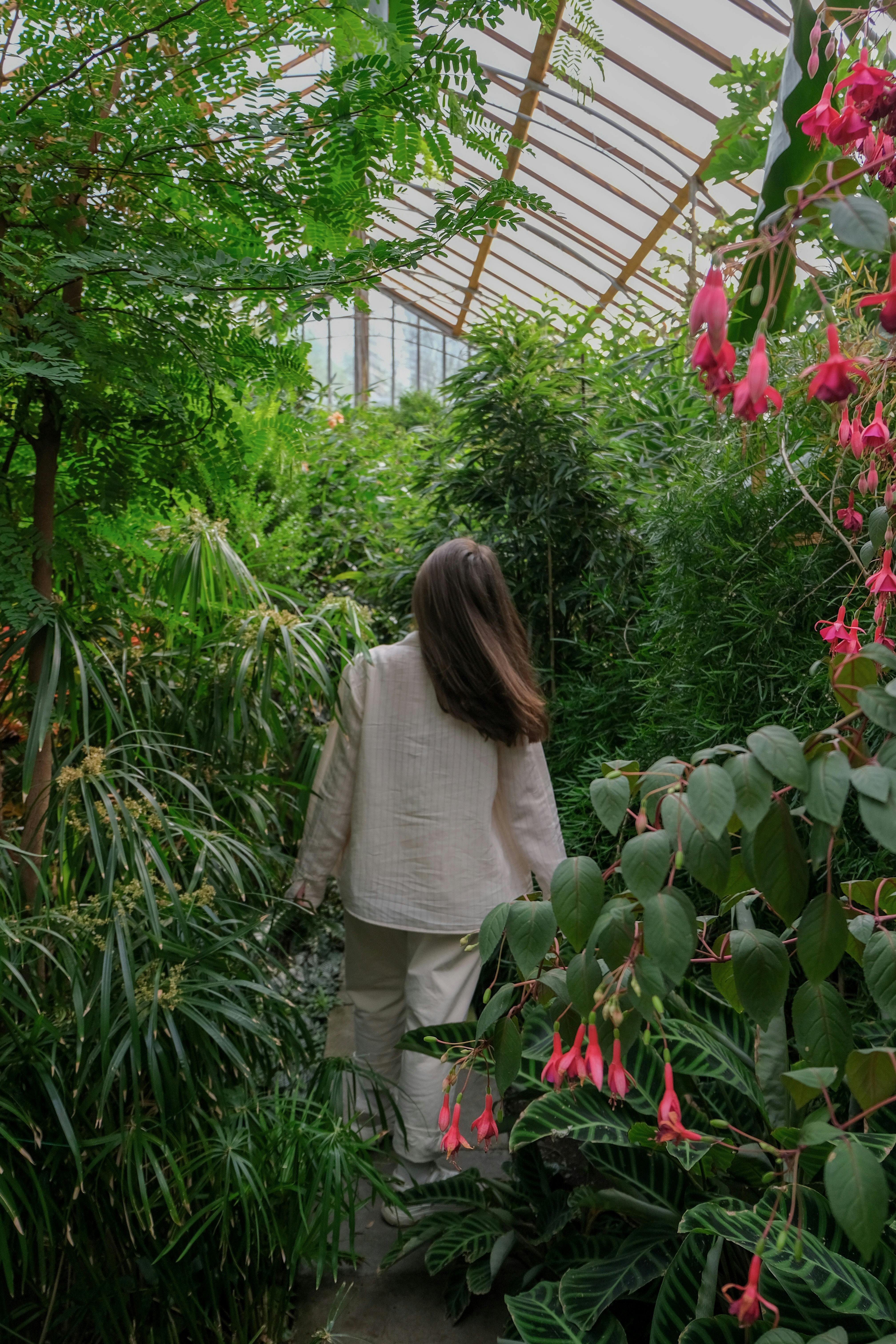 A woman strolling through a vibrant greenhouse filled with lush plants and pink flowers.