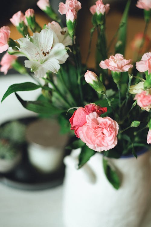 Free Pink and White Flowers in White Ceramic Vase Stock Photo