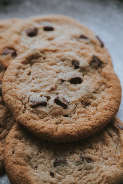 Free Cookies with Chocolate Chips Stock Photo