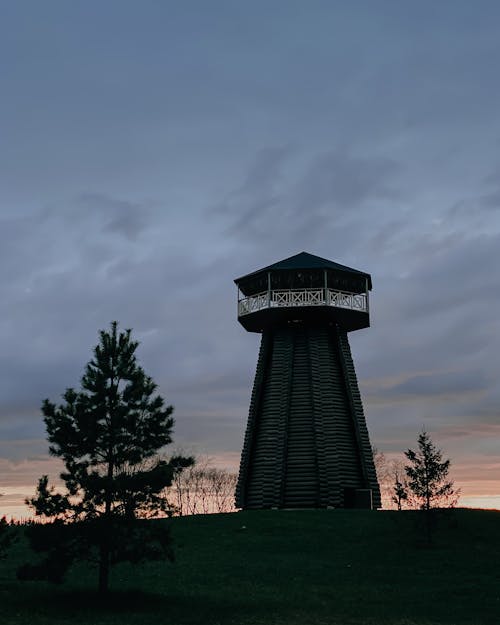 Ingyenes stockfotó természet témában