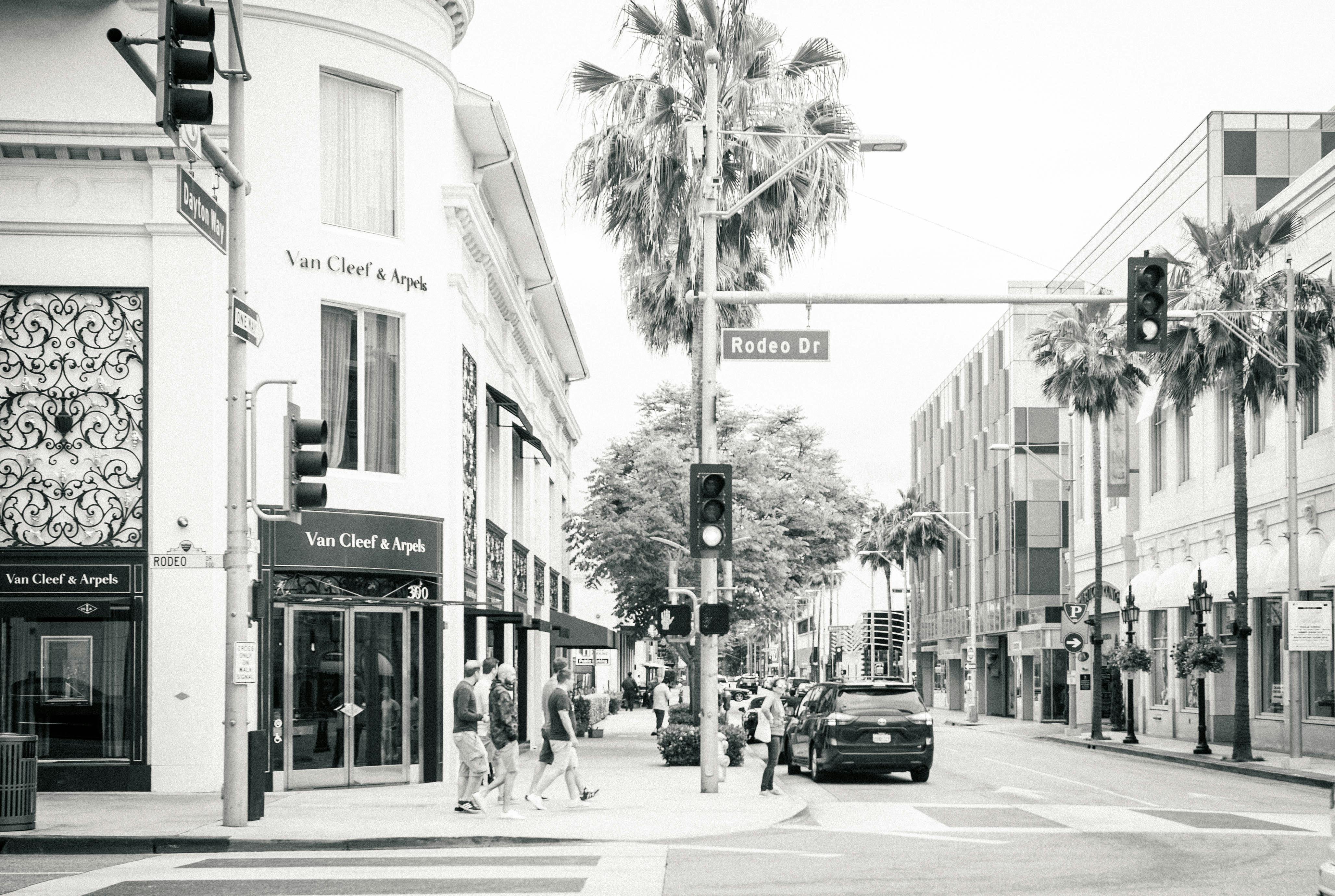 Free stock photo of black and white, palm trees, street corner