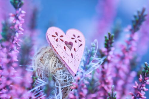 A Purple Wooden Heart Near Flowering Plants