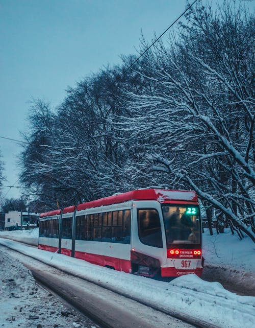 Kostnadsfri bild av bara träd, kollektivtrafik, snö