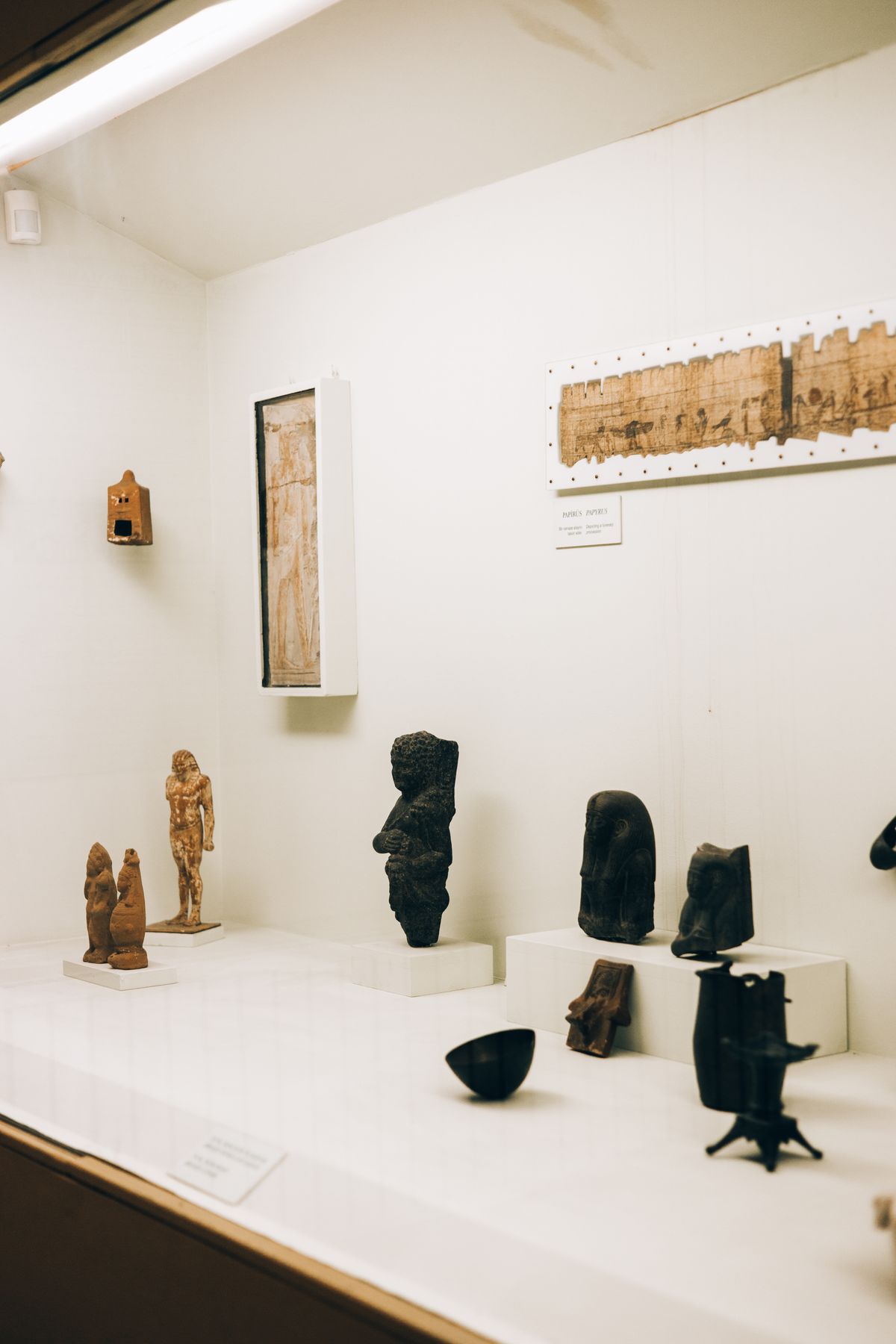 Ancient Egyptian artifacts arranged in a museum case