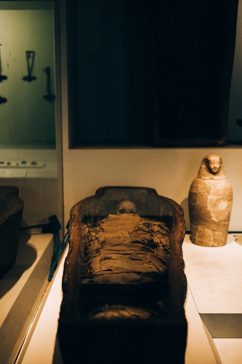 Free Egyptian Mummy and Canup Exhibited in Museum Stock Photo