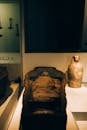 Egyptian Mummy and Canup Exhibited in Museum