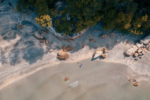 Luchtfotografie Van Strandkust Met Bomen In De Buurt