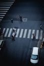 People Crossing the Pedestrian Lane