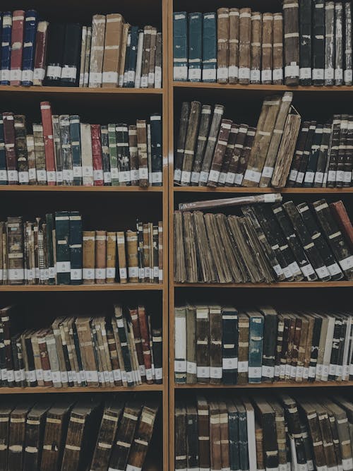 Brown Wooden Shelves with Books