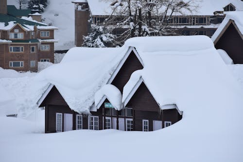 Foto d'estoc gratuïta de arbre nu, arquitectura, cobert de neu