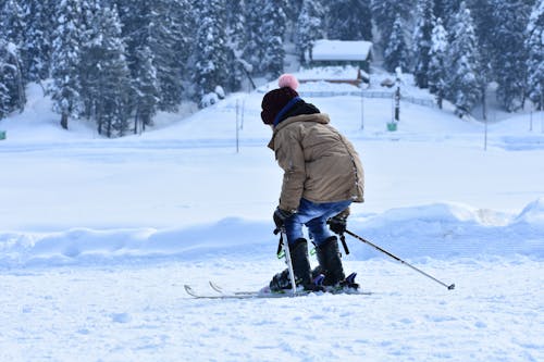 무료 겨울 스포츠, 기쁨, 눈의 무료 스톡 사진