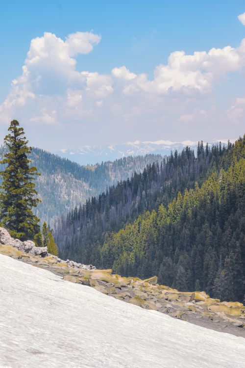 Free Breathtaking view of snow-covered mountains and lush green forests under a bright blue sky. Stock Photo