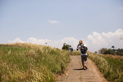 People Walking on Paved Walkway Surrounded with Grass