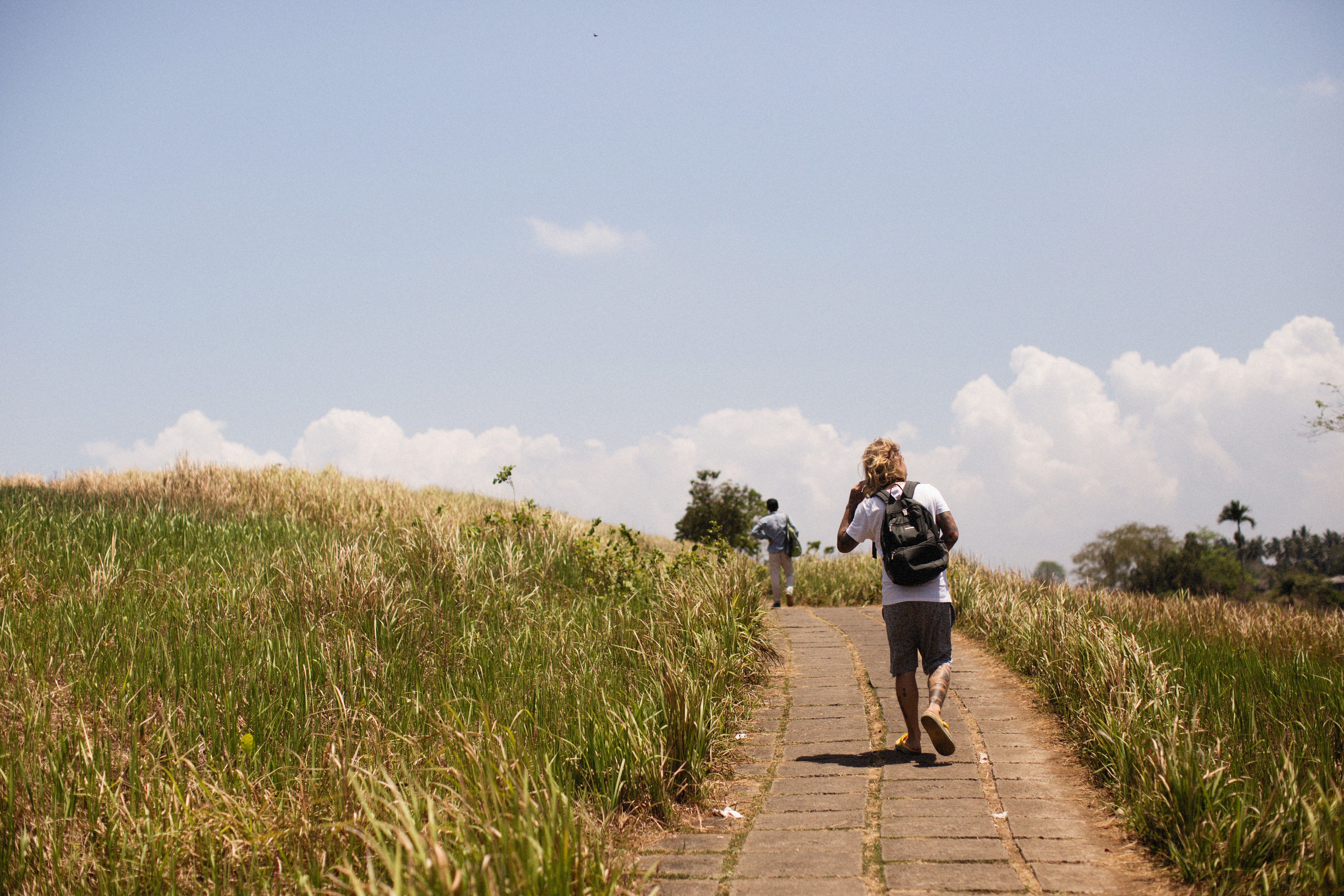 People Walking on Paved Walkway Surrounded with Grass