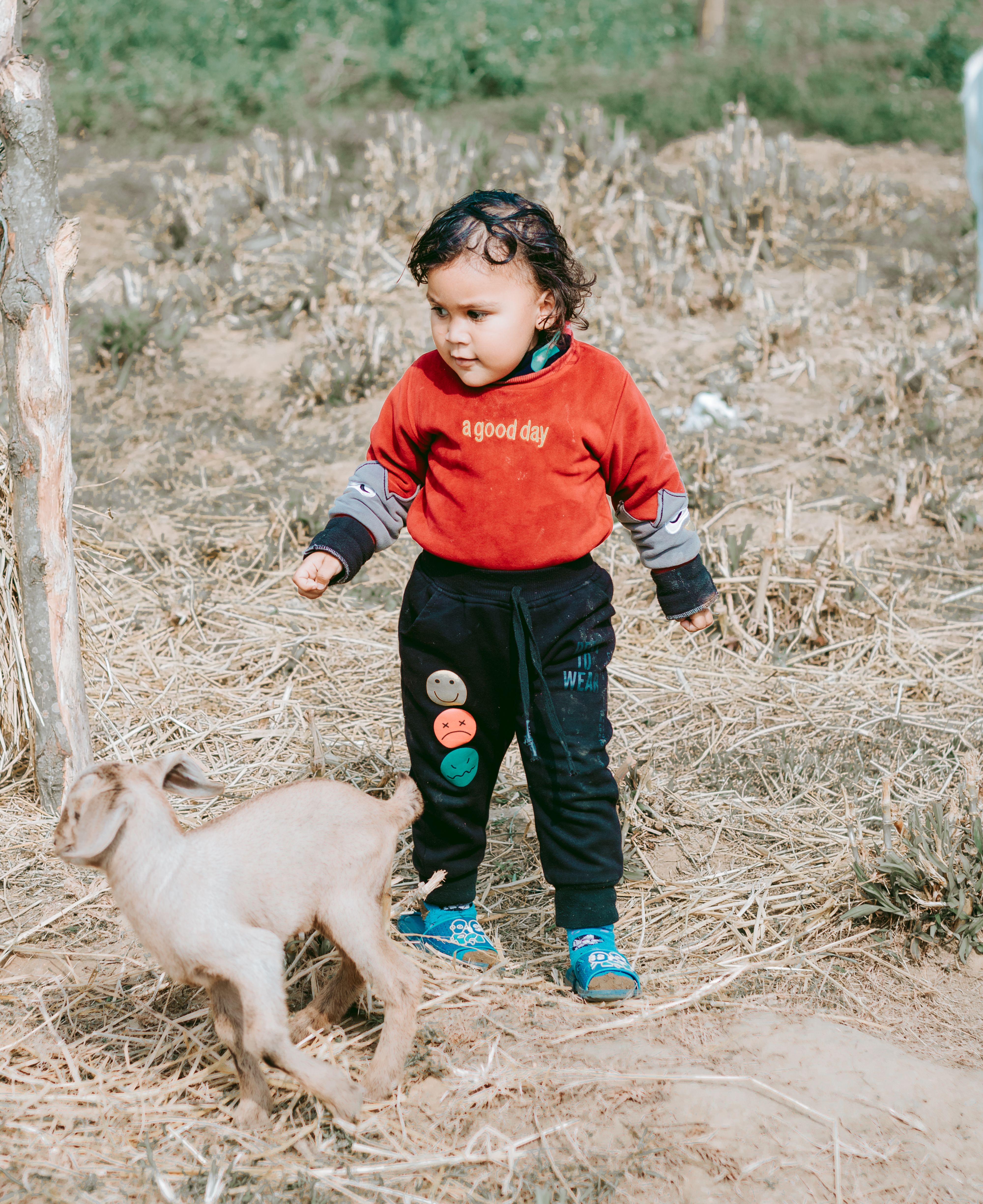 Adorable child in red sweater and goat in a field, capturing joyful playfulness in rural Nepal.