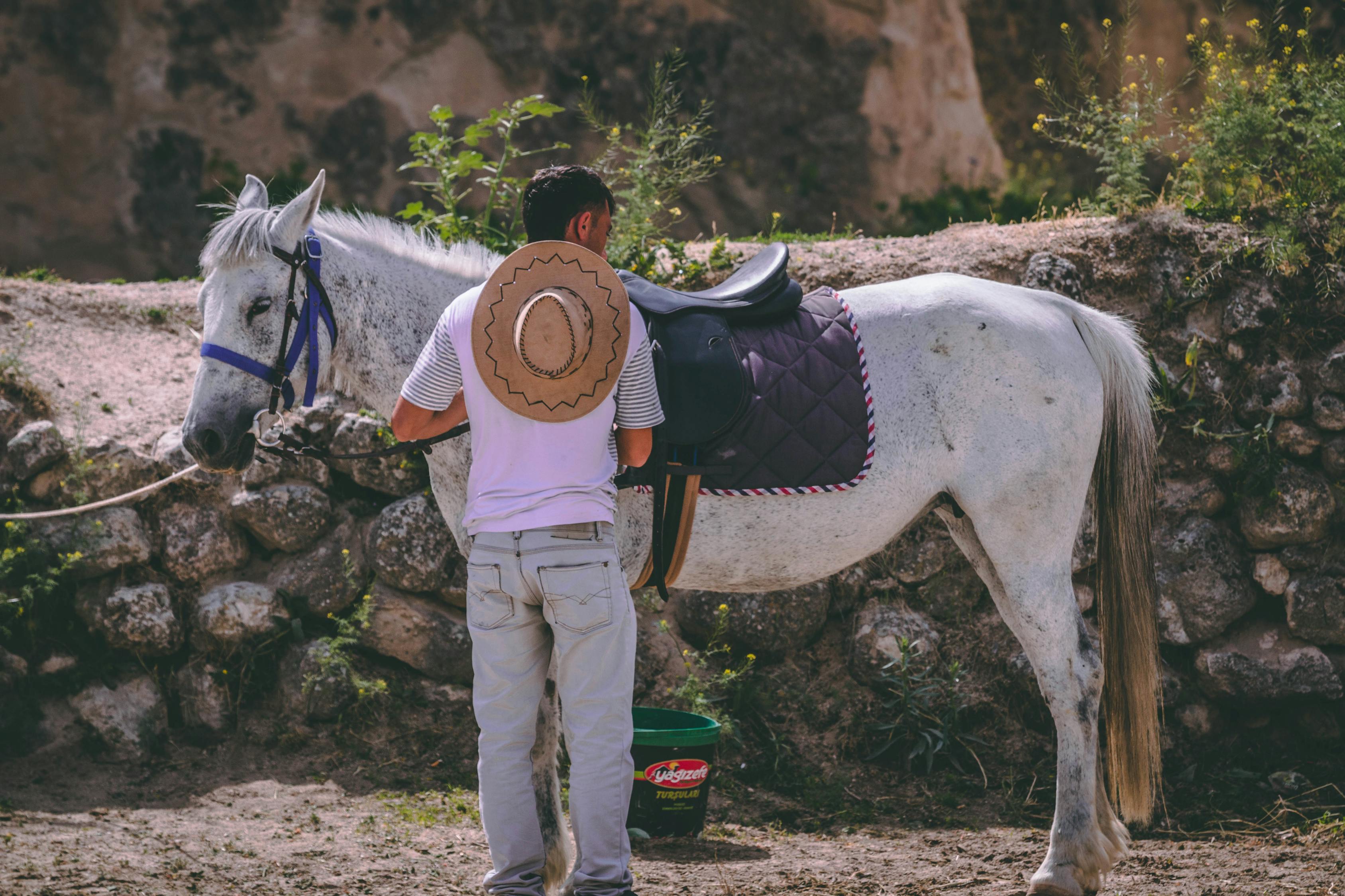 Unforgettable Horseback Riding Experiences in Tulum 2023