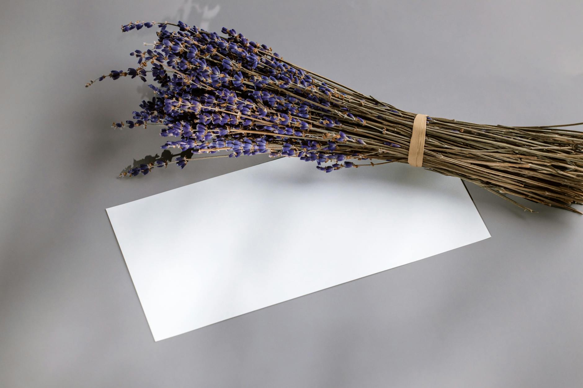 A minimalist composition of a dried lavender bouquet on a gray surface with a blank card for customization.