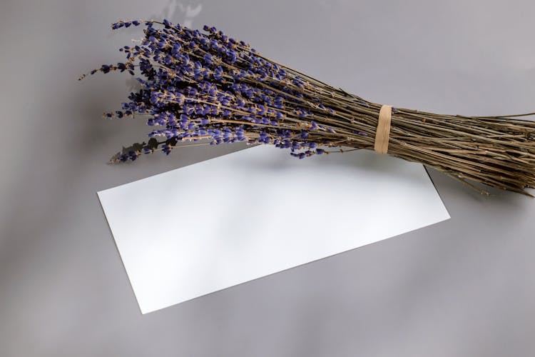 A Bouquet Of Lavender And A Piece Of Paper