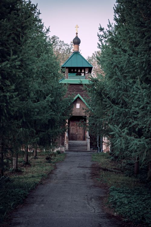 Free A peaceful forest path leads to a rustic wooden church amidst lush greenery. Stock Photo