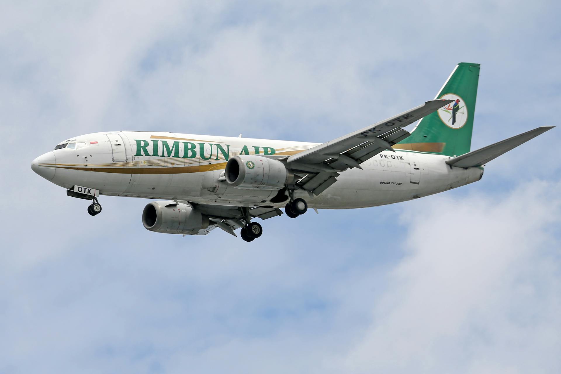 Rimbun Air Boeing 737 flying against a cloudy sky, showcasing commercial aviation.