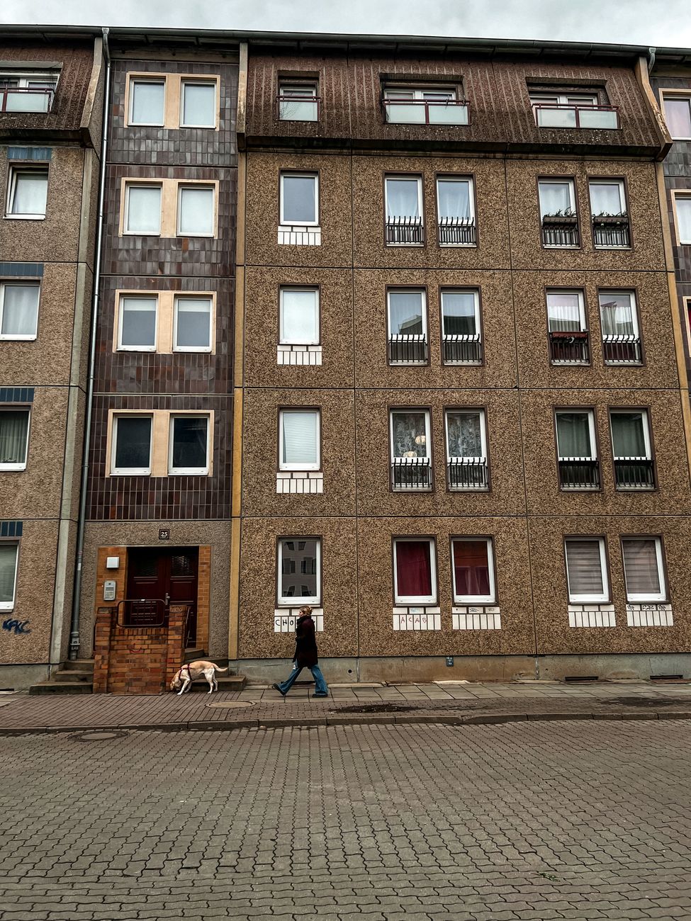 Dog walker at an apartment building entrance ready for a home pickup walk