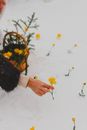 Person in Black Long Sleeve Shirt Holding Yellow Flowers
