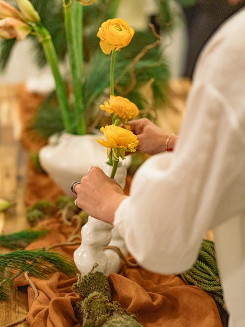 Gratis stockfoto met gele bloem, handen, iemand