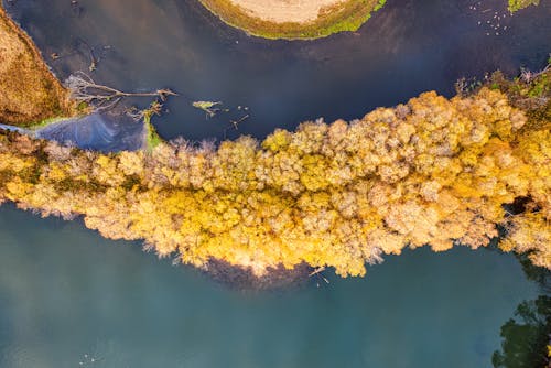 ağaçlar, doğa, drone çekimi içeren Ücretsiz stok fotoğraf