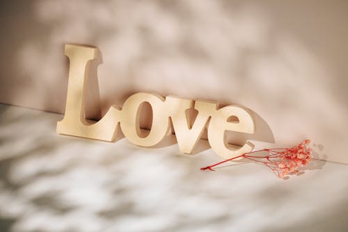 Free Love Sign and Twig Stock Photo