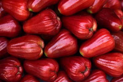 Jambu Air Citra