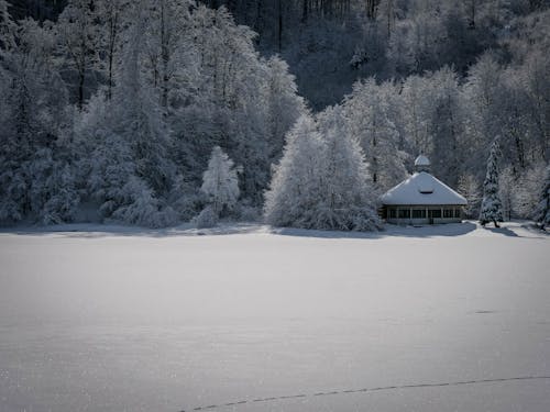 Gratis lagerfoto af forkølelse, frost, hytte