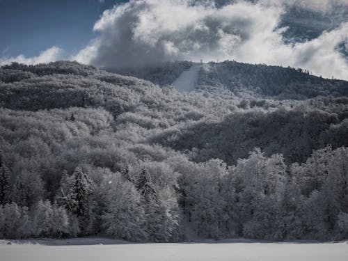 Kostnadsfri bild av bergen, frost, kulle
