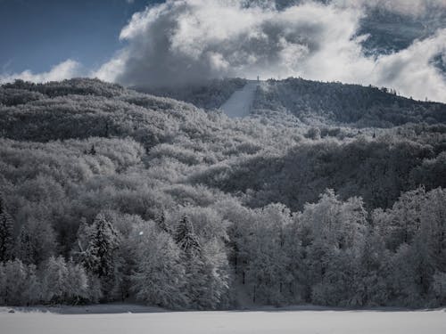 Immagine gratuita di bellezza, collina, gelo