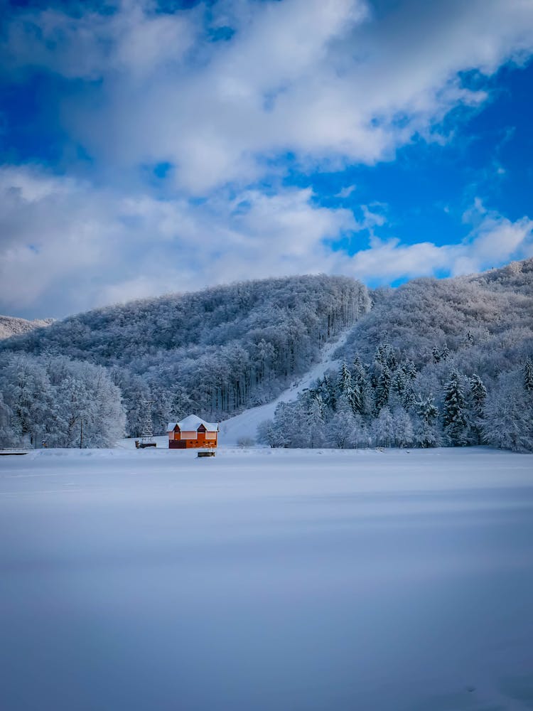 Ski Slope In Snow