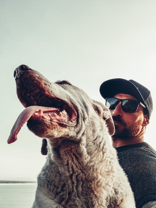 Man Wearing Sunglasses Beside a Dog