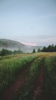Image by Danila  Popov