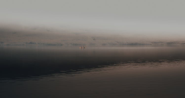 People Canoeing Near Lakeshore In Fog