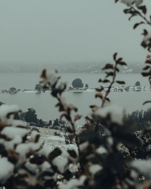 Foggy Landscape of a River in Winter 