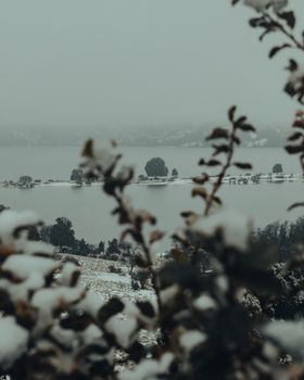 A serene winter scene of a fog-covered lake surrounded by snowy hills and trees, creating a cold and gloomy atmosphere.