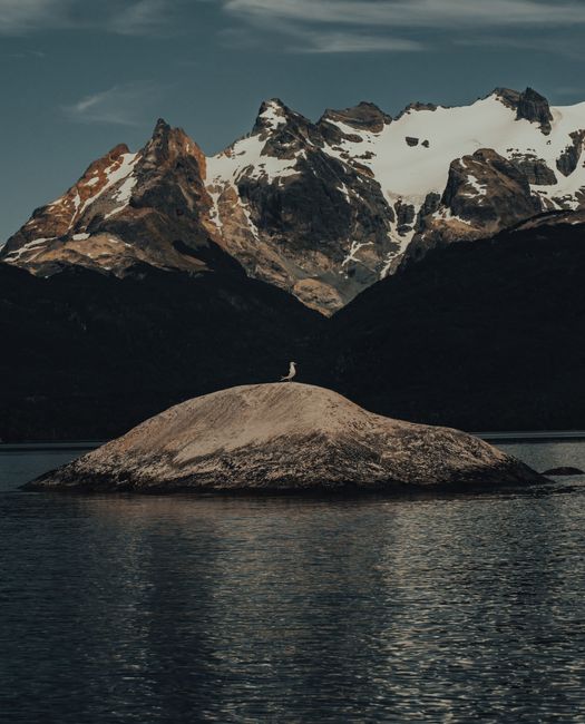 A lonely bird perches on a rocky island against a backdrop of snow-capped mountains.